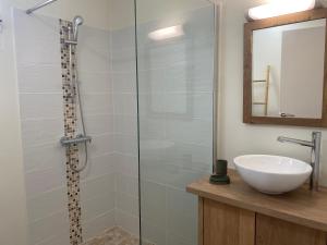 un bagno con lavandino e doccia in vetro di CARIBBEAN RESIDENCE a Sainte-Luce