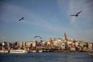 three birds flying over the water with a city at Sanasaryan Han, a Luxury Collection Hotel, Istanbul in Istanbul