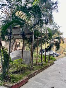 un grupo de palmeras al lado de una calle en Hotel Sova's Inn, en Birātnagar