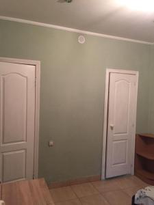 a room with green walls and two white doors at М.Арнаутская 33 in Odesa