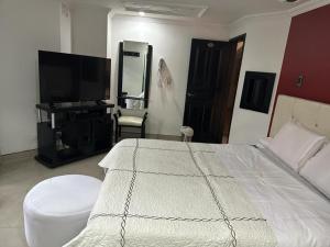 TV a/nebo společenská místnost v ubytování Hotel Bosque Chapinero