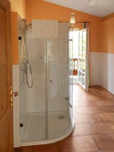 - une douche avec une porte en verre dans la chambre dans l'établissement Chalet-Chip-In Bad Griesbach - Uttlau, à Haarbach