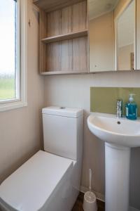 a small bathroom with a toilet and a sink at ELVIS, King Of The Caravans, 6 Berth in Port Seton