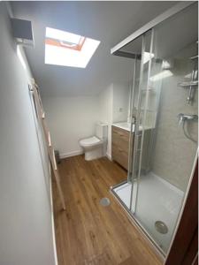 uma casa de banho com uma cabina de duche em vidro e um WC. em Matosinhos Terrace Apartment em Matosinhos