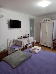 Schlafzimmer mit einem Bett, einem Tisch und einem TV in der Unterkunft Rooms Serafin in Motovun