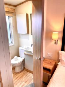 a small bathroom with a toilet and a sink at 102, Duckpool Lodge in Bude