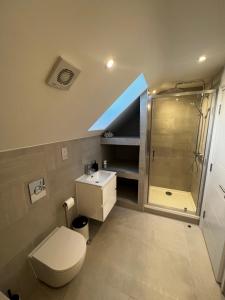 a bathroom with a toilet and a sink and a shower at Modern and spacious two bedroom apartment near city centre in Bristol