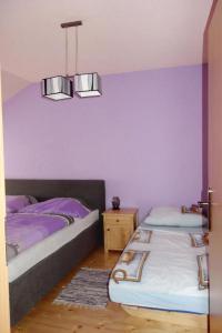 2 camas en una habitación con paredes moradas en Jazdecký areál Budička, 