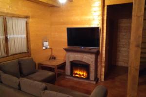 CobisaにあるCasa Rural La Dehesa De Toledoのリビングルーム(暖炉、薄型テレビ付)