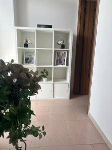 uma estante de livros brancos com vasos de plantas num quarto em Casa Stella del Vesuvio em Portici