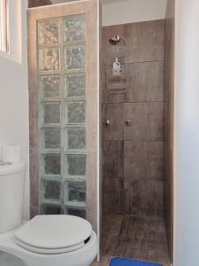 プエルト・モレロスにあるStudio Norte, Casa Brisamarのバスルーム(トイレ、シャワー付)
