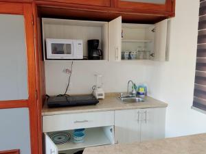 a small kitchen with a sink and a microwave at Studio Norte, Casa Brisamar in Puerto Morelos
