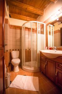 a bathroom with a shower and a toilet and a sink at Monte Bianco Villas in Arachova