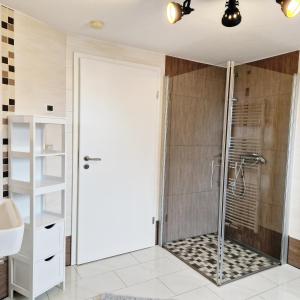 Ein Badezimmer in der Unterkunft DM Hotels & Apartments - Apartment Pfarrgasse 09