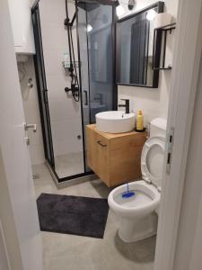 a bathroom with a toilet and a sink and a shower at Home apartment in Niš
