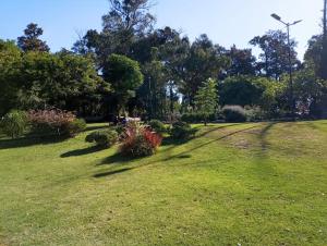 een park met groen gras en bomen en een straatlicht bij Hostel Dakini in Lomas de Zamora