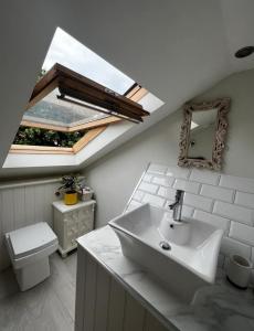 a bathroom with a sink and a toilet and a skylight at Gorgeous 1 bedroom & private ensuite in Central Windsor home with FREE PARKING in Windsor