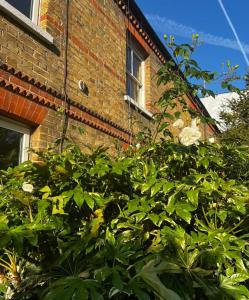 a brick building with a lot of plants in front of it at Gorgeous 1 bedroom & private ensuite in Central Windsor home with FREE PARKING in Windsor