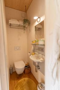 Baðherbergi á Tiny House Chez Claudine - Relaxen, Workspace, Nähe Thermen, Netflix, free Parking & Wifi