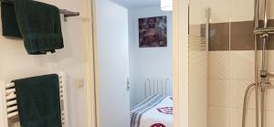 ein Bad mit einer Dusche und einem Spiegel in der Unterkunft Ravissant Appartement T2 proche du centre-ville in Villefranche-sur-Saône