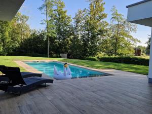 uma piscina com um cisne no meio em Volledige gezinswoning te huur em Mechelen