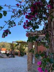 佩里那的住宿－Casa rural Antonio y Esperanza，上面有粉红色花的凉亭
