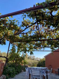 una mesa y sillas en un patio bajo un dosel en Casa rural Antonio y Esperanza, en Periana