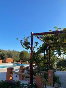 uma vista para uma piscina com uma árvore e bancos em Casa rural Antonio y Esperanza em Periana