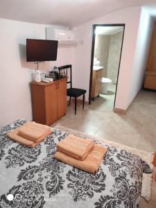 Μια τηλεόραση ή/και κέντρο ψυχαγωγίας στο Casa Gheorghe +53 φωτογραφίες
