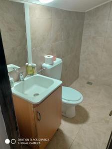 a bathroom with a toilet and a sink at Casa Gheorghe in Balabancea
