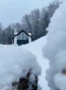 Joli Chalet tokom zime