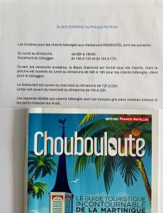 Fotografija v galeriji nastanitve Studio "Ti Joyau", vue mer, piscine, classé Tourisme 4 étoiles v mestu Le Diamant