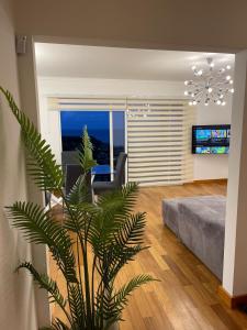 a living room with a couch and a palm tree at NICE and MODERN FLAT NEAR AIRPORT in Santa Cruz