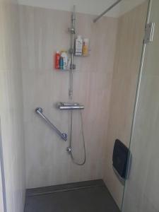 a bathroom with a shower with a hose on the wall at Quiet Room with shared kitchen bathroom in Graz