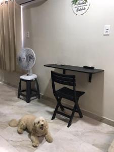 Et eller flere kæledyr der bor med gæster på Residencial Estrela Guia 1