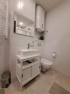 een witte badkamer met een wastafel en een toilet bij Teodora B. Apartament in Liepāja