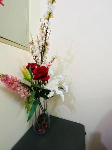 Foto sihtkohas Umm al-Qaywayn asuva majutusasutuse Serene Nest galeriist