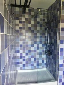 a bathroom with a shower with blue and white tiles at Quinta de Moçamedes - Turismo de Habitação in Vouzela