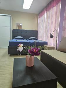 Ένα ή περισσότερα κρεβάτια σε δωμάτιο στο Apartman LENI2 u centru Zajecara