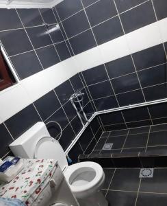 a bathroom with a white toilet and black tiles at Veskov Konak in Andrijevica