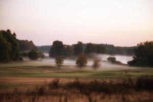 ゲーレン・レビンにあるFerien_HAUS AM AHORNECK _ BENNOの木々が茂る霧のゴルフコース