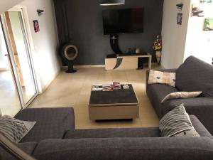 ein Wohnzimmer mit 2 Sofas und einem TV in der Unterkunft Maison climatisée piscine salle de sport 8/9 pers. in Monteux