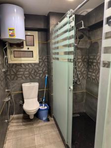 a bathroom with a toilet and a shower at Cairo apartment in Cairo