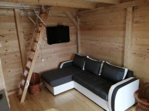 Un televizor și/sau centru de divertisment la Taćina i Dokina kolibica