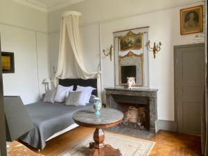 a bedroom with a bed and a fireplace at Château des Feugerets in Bellême