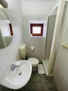 a bathroom with a sink and a toilet and a mirror at Agriturismo Gallo in Cortemilia