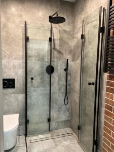 una ducha con puerta de cristal en un baño en Raciborska Royal Apartment - miejsce parkingowe na parkingu strzeżonym, en Gliwice