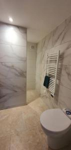 a bathroom with a toilet and a marble wall at La romarine in Bourg-Saint-Andéol +16 photos