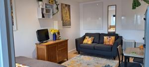 a living room with a couch and a tv at Modern studio apartment with outstanding views, sleeps 2 in Newlyn