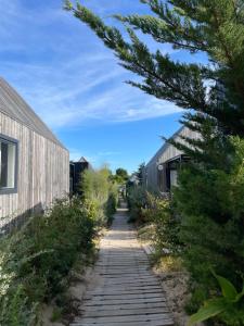 a path between two buildings with a tree at Sauvage in Quiberon